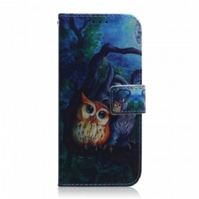 Κάλυμμα Google Pixel 6 Pro Ζωγραφική Με Κουκουβάγιες